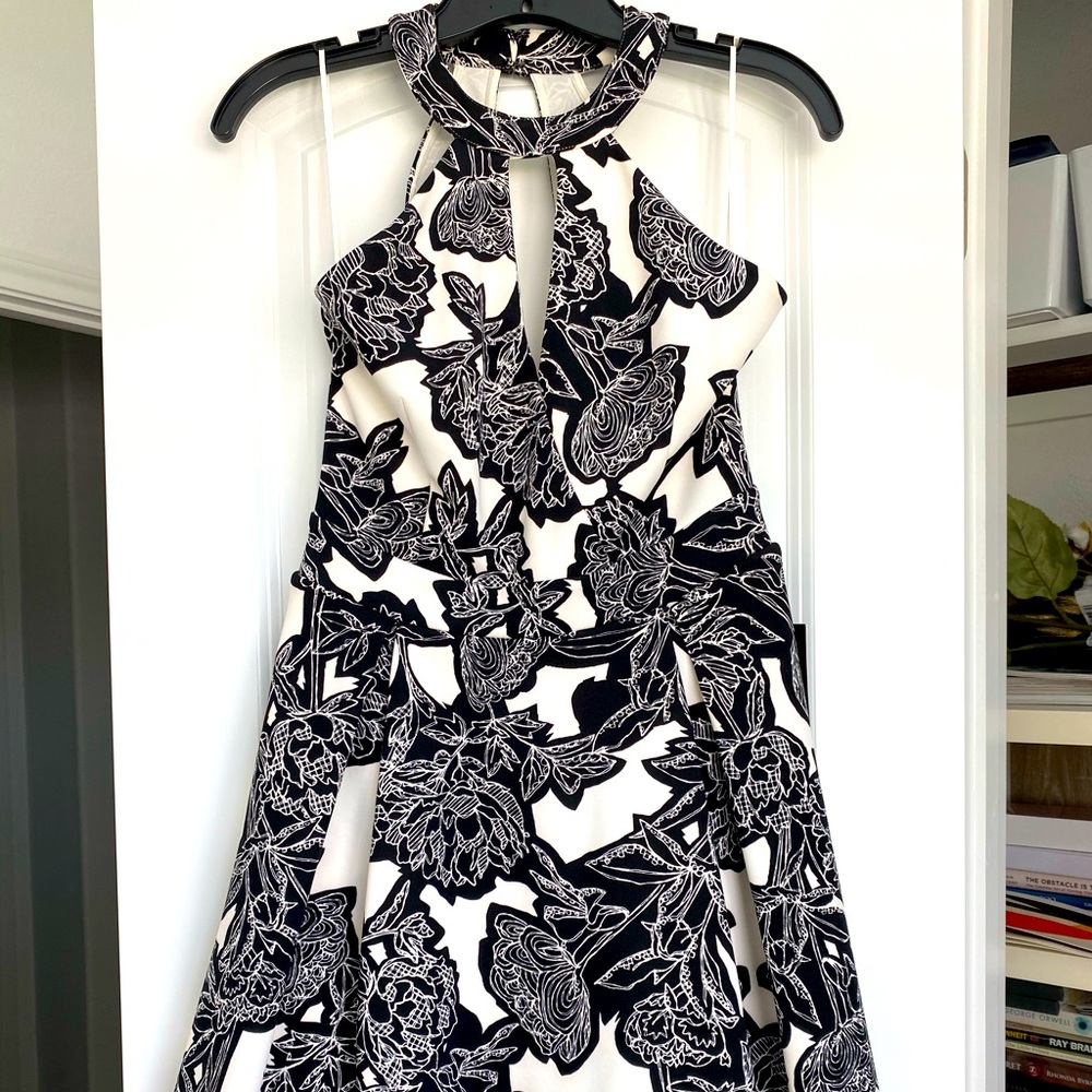 Express cocktail dress